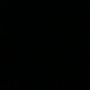 Meet your Posher, Patty